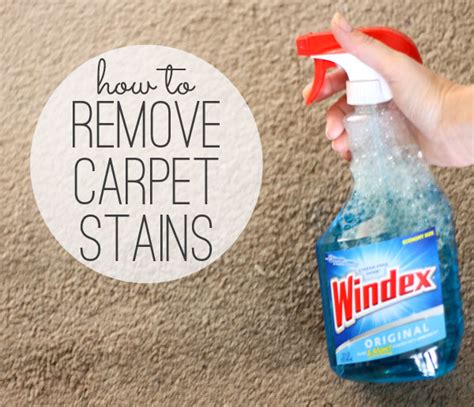 Stain magic carpet cleaner